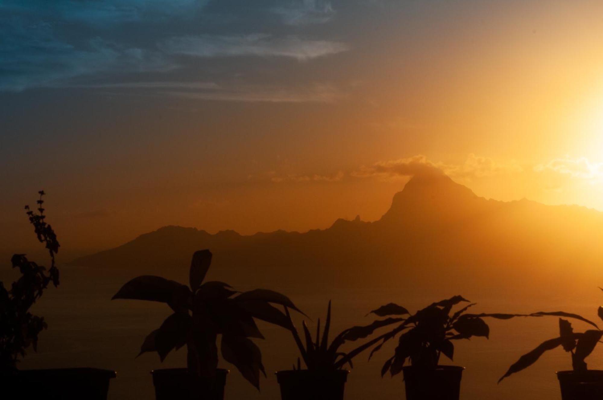 Vue Sur Moorea Apartment Punaauia  Ngoại thất bức ảnh